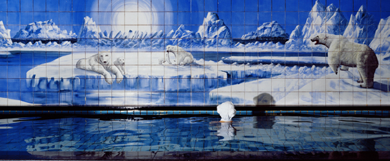 Jaye Rhee: Polar Bear 2