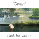 Jaye Rhee: Swan video